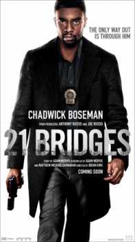cover 21 Bridges